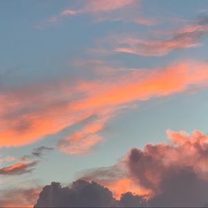 Meet your Posher, Hector